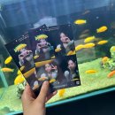 창뷰