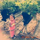 유민농장 이미지