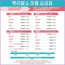 펫 이발소 | 화곡동 애견미용 잘하는곳 펫이발소 추천 후기