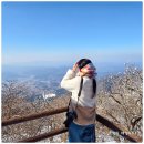 쉼터카서비스 | 겨울 무주 가볼만한곳 덕유산 곤돌라 케이블카 눈꽃 산행 무주 당일 여행 코스