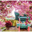 타니스테이 이미지