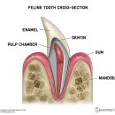 숲동물병원 이미지