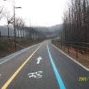 강남-148 이미지