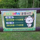 늘솔길공원양떼목장 네이버블로그