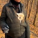 아침산 저녁해 | 강아지와 천태산 등산 다시 가보기 [두번의 등산 후기]