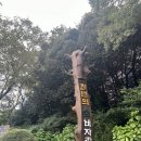 가족 제주여행 - 부모님, 남편과 함께 2일차 (2) (비자림, 비밀의숲 스냅촬영, 정방폭포, 투모로우 카페...