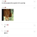 고경표 살풀이 때문에 수영장 다닌는다는데 목욕탕 준바오 생각남 이미지