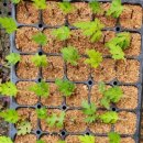 미암초등학교 이미지