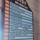 수니네 강아지 미용실 | 둔산동미용실 온소헤어 둔산점 중간머리레이어드펌 후기
