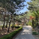 새봄요양병원 이미지