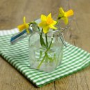 새소망푸드뱅크 이미지