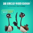 벨루 이미지