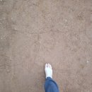 당곡운동장 이미지