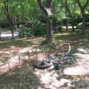 까치공원 맞은편 이미지