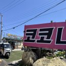 우도 전기 스쿠터 코코나라에서 빌려 재밌게 다닌 후기