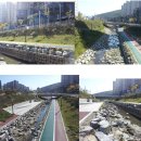 동일수지 이미지