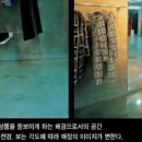 얼빙플레이스