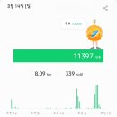 즉석김밥 이미지