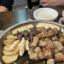 팀아울 이미지