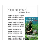 금수강산 Daum카페