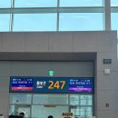 091 | 대한항공 KE091 이코노미석 후기 식사, 간식, 좌석 공간