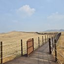 삼화목장 이미지