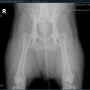 서울종합동물병원방배 이미지