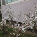 명륜동-4 이미지