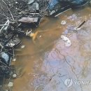 상대음 이미지