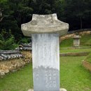 최*영 Daum카페