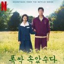 고창 청보리 축제 당일 후기, 고창 장어 맛집 식당, 고창 카페 연다원