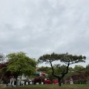 꽃과차라라랜드 | 대부도 여행 라라랜드 베이커리 카페