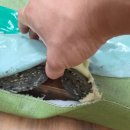 송례초등학교 이미지