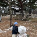 겨리농장 이미지