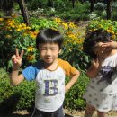 벌막공원 이미지