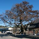 중선포천 이미지