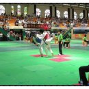 무성 태권도장 이미지