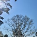 남종면 분원리 100 이미지