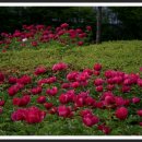 실내체육관 앞 이미지