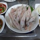 사계절 맛집 네이버블로그
