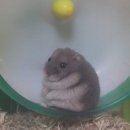 인생난바 이미지