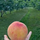 감곡농장 이미지