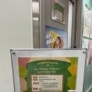 공창제 | 《어느 재일동포 역사학자의 일본군&#39;위안부&#39;연구》 참가 후기