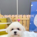 (주)이상윤동물병원 이미지