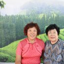 조성면 동곡새마을경로당 | 재능나눔한마당