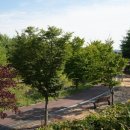 선옥공원 이미지