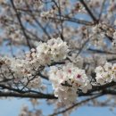 도사동 행정복지센터 이미지