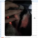 #(샵)코인노래연습장 네이버블로그