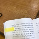 메가엠지씨커피김포초당 | 메가커피 신메뉴 초당옥수수프라페 솔직후기🍦 가격, 칼로리, 영양성분까지