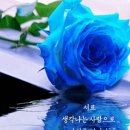 남한산성 제3코스 Daum카페